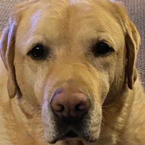 Meet your Posher, Jack